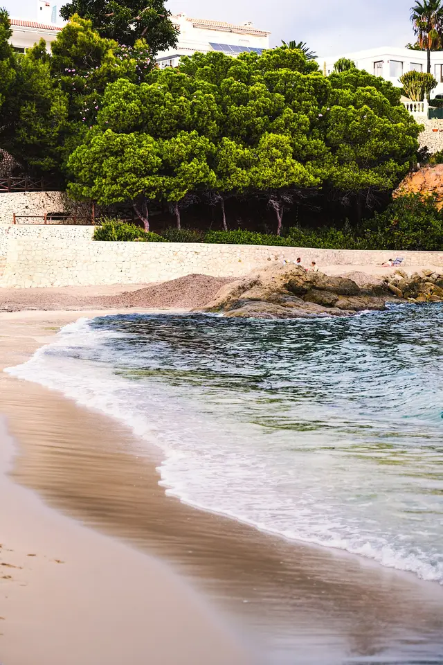 Orilla de la cala donde se celebra la boda, con pinos al fondo
